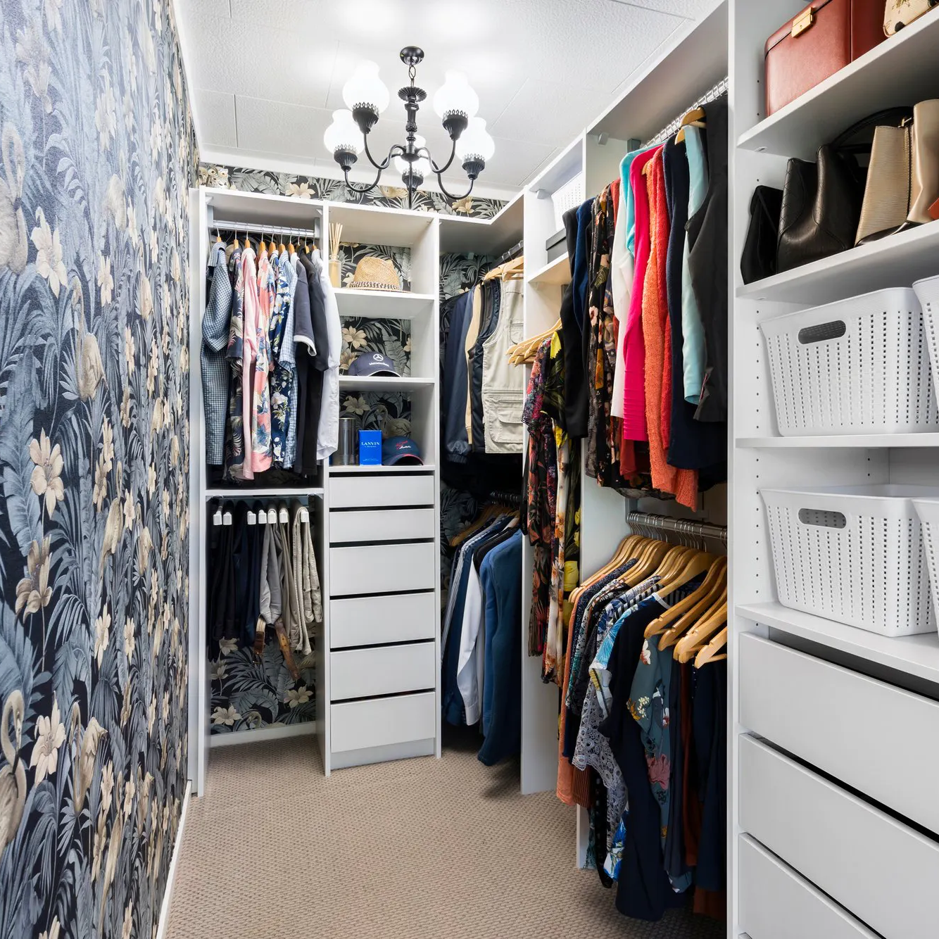 Gallery-35-Flex-Walk-in-wardrobe-with-feature-wallpaper-1